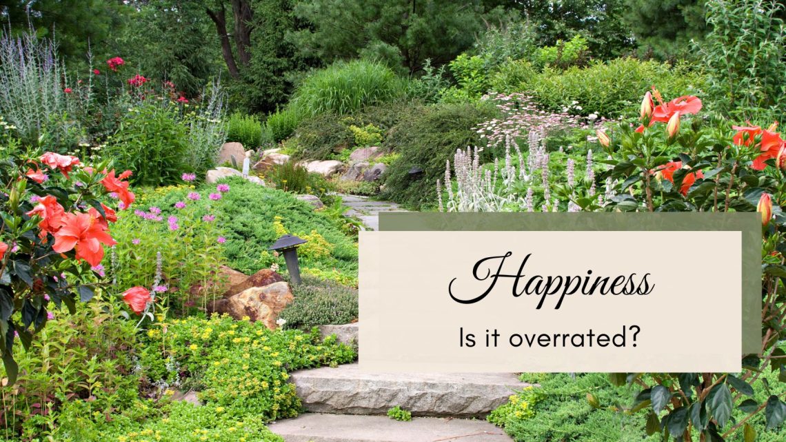 happiness vs joy