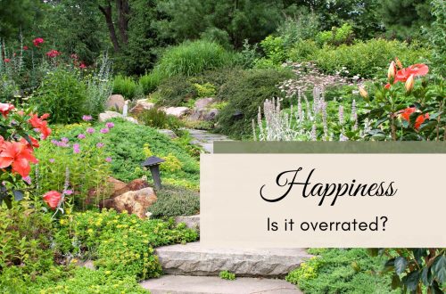 happiness vs joy